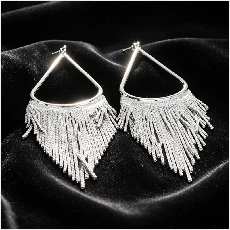 Water Drop Fringe Earrings