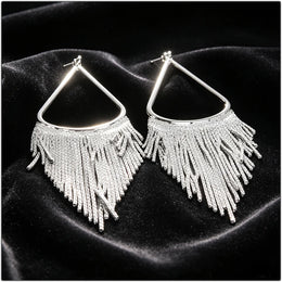 Water Drop Fringe Earrings