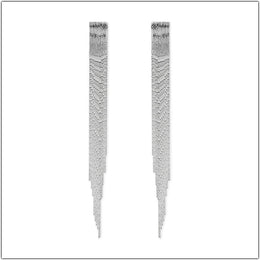 Water Drop Fringe Earrings